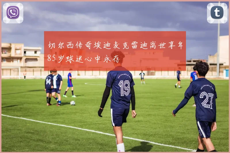 切尔西传奇埃迪麦克雷迪离世享年85岁球迷心中永存